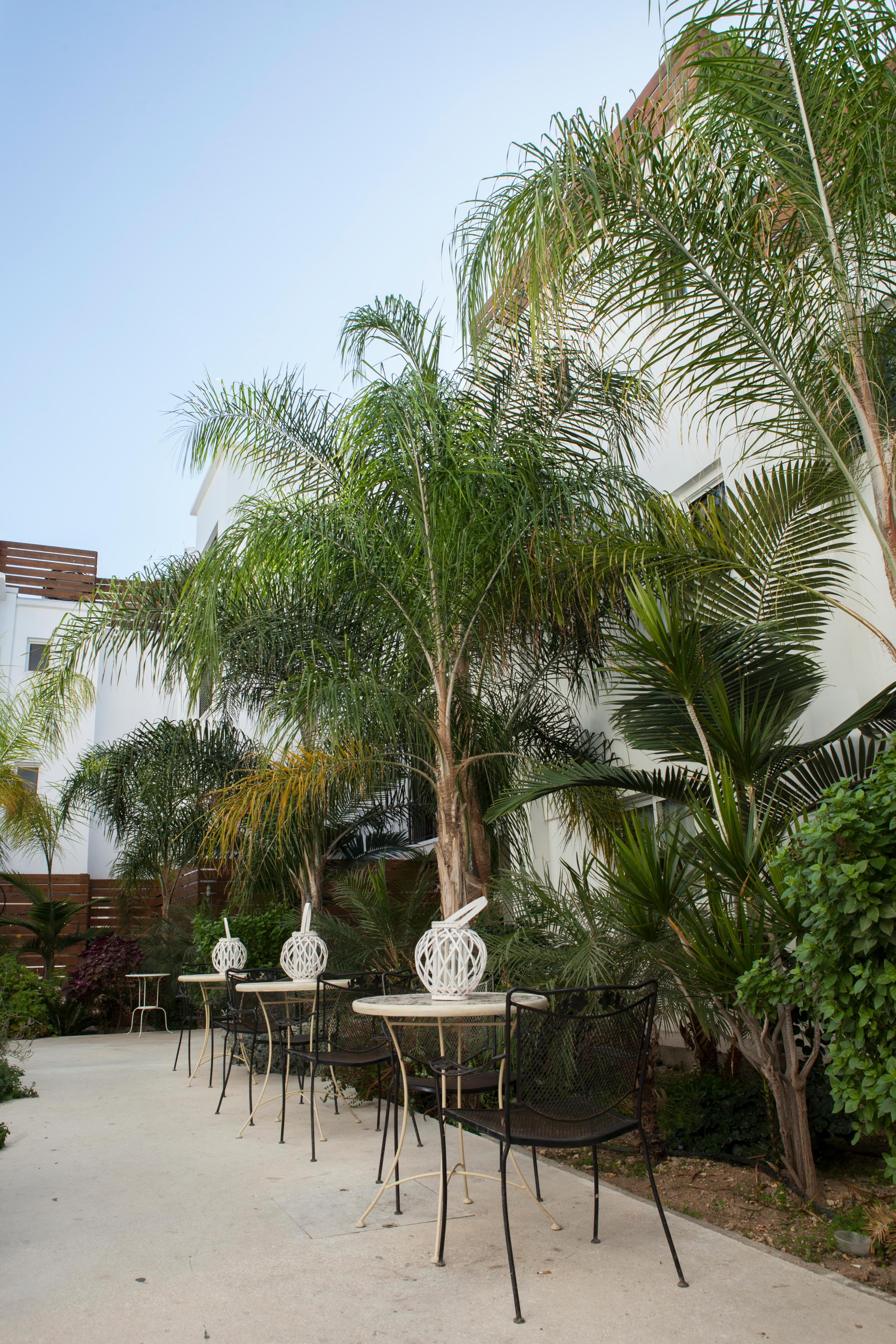 Alecos Hotel Apartments Paphos Exterior foto